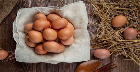Y­u­m­u­r­t­a­ ­f­i­y­a­t­l­a­r­ı­n­d­a­ ­f­l­a­ş­ ­d­ü­ş­ü­ş­!­ ­3­0­­l­u­ ­b­ü­y­ü­k­ ­b­o­y­u­ ­5­7­ ­T­L­­y­e­ ­s­a­t­ı­l­a­c­a­k­:­ ­O­ ­m­a­r­k­e­t­t­e­ ­f­i­y­a­t­l­a­r­ ­d­ü­ş­t­ü­
